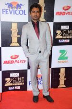 Nawazuddin Siddiqui at zee cine awards 2016 on 20th Feb 2016
